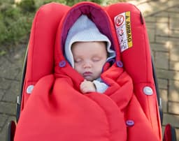 Bebeconfort Pebble Plus Baby Seat Robin Red image 2