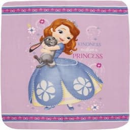 Disney Sofia The First Polar Fleece Blanket image 0