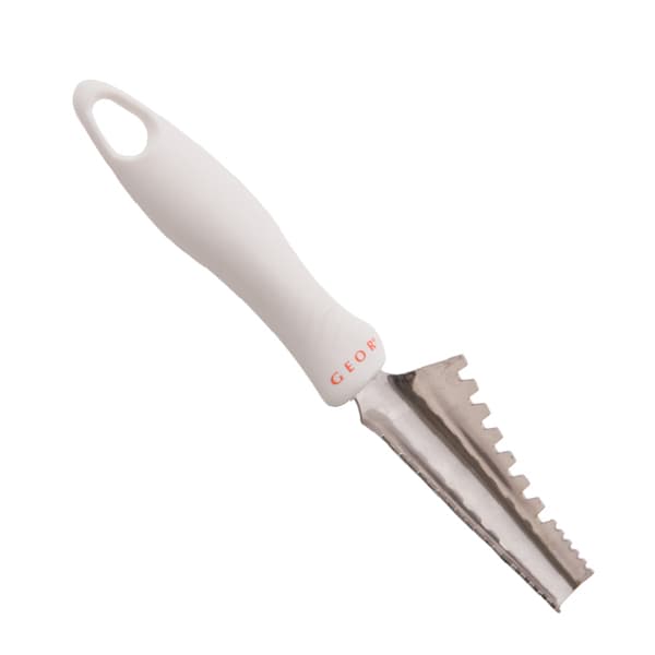 GEOR Onde Fish Scaler
