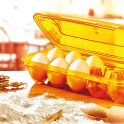 Plast Art 10 Eggs Holder Box (Assorted Colors) image 1
