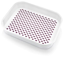 Plast Art Plastic Tray Non-slip (Assorted Colors) image 0