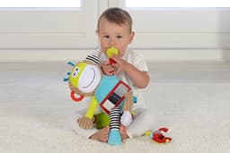 Dolce Play And Learn Monkey image 2