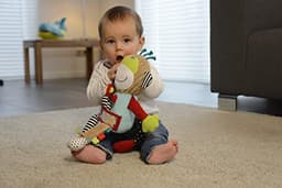 Dolce Play And Learn Monkey image 1