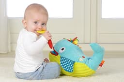 Dolce Play And Learn Whale image 4