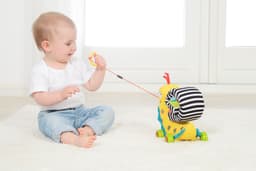 Dolce Pull Along Color Snail image 3