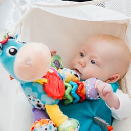 Playgro Activity Friend Clip Clop image 1