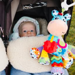 Playgro Activity Friend Clip Clop image 3