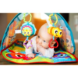 Playgro Honey Bee Bear Activity Tunnel Gym image 1