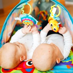 Playgro Honey Bee Bear Activity Tunnel Gym image 2