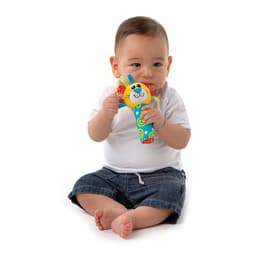 Playgro Jungle Squeaker Lion image 1
