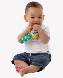 Playgro Jungle Squeaker Lion image 2