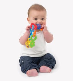 Playgro Twirly Whirl Rattle image 1