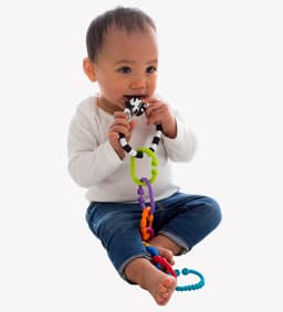 Playgro Zebra 9 Links image 2