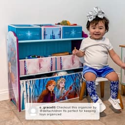 Delta Frozen 2 Multi-Bin Toy Organizer image 4
