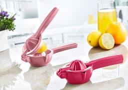 Okyanus Lemon Press image 1