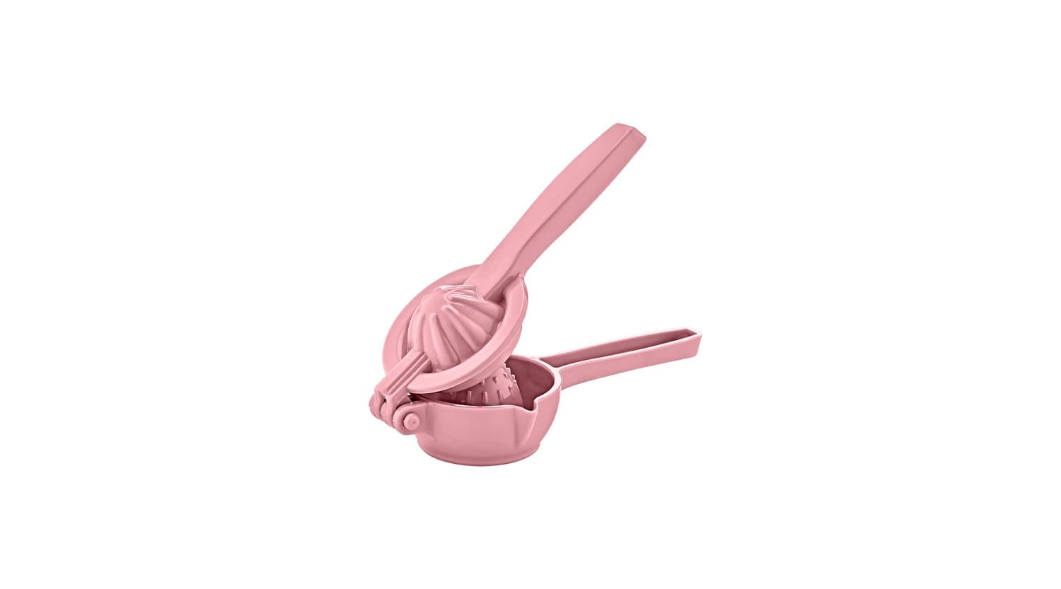 Okyanus Lemon Press