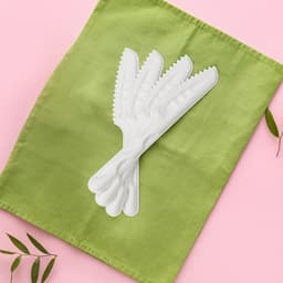 Weavers FZ Sugarcane Bagasse Knife 160mm -20pcs image 1