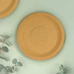Weavers FZ TSW Bagasse Round Plate 10" -10 PCS image 0