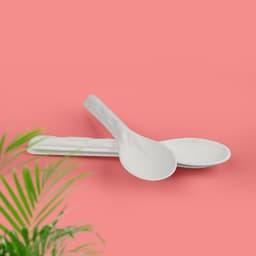Weavers FZ Sugarcane Bagasse Spoon 160mm -20pcs image 1