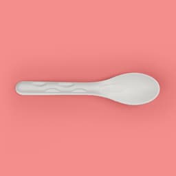 Weavers FZ Sugarcane Bagasse Spoon 160mm -20pcs image 0