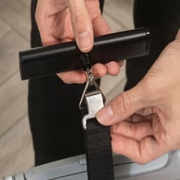 Salter Aluminium Luggage Scale image 3