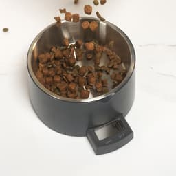 Salter Digital Pet Food Scale with Bowl image 1