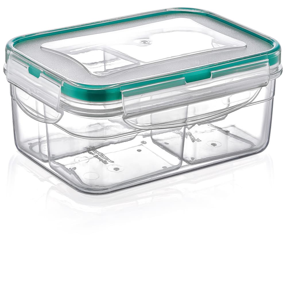 Plast ART Rectangular Divided Fresh Box (4 x 0.25 Ltr)