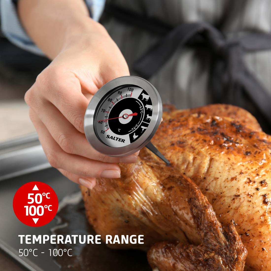 Shop Salter Meat Thermometers & Food Temperature Probes